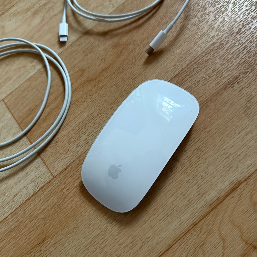Apple - Magic Mouse (Wireless)